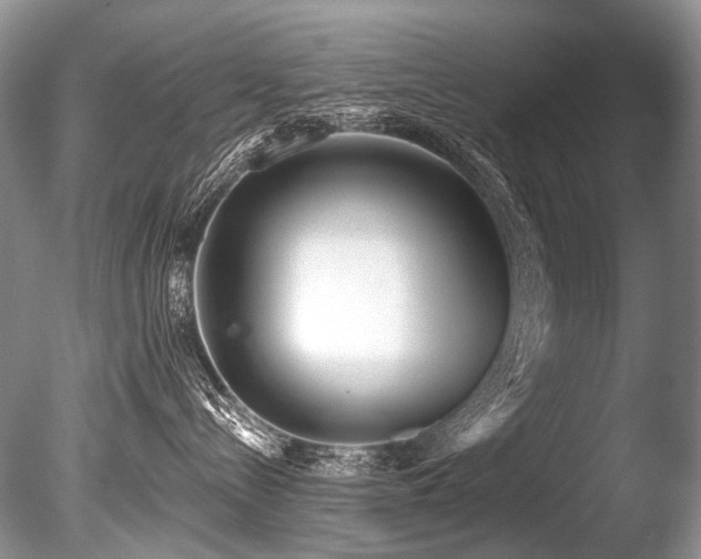 X0000086320288200703301226