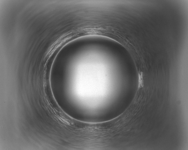 X0000086320291200703301225