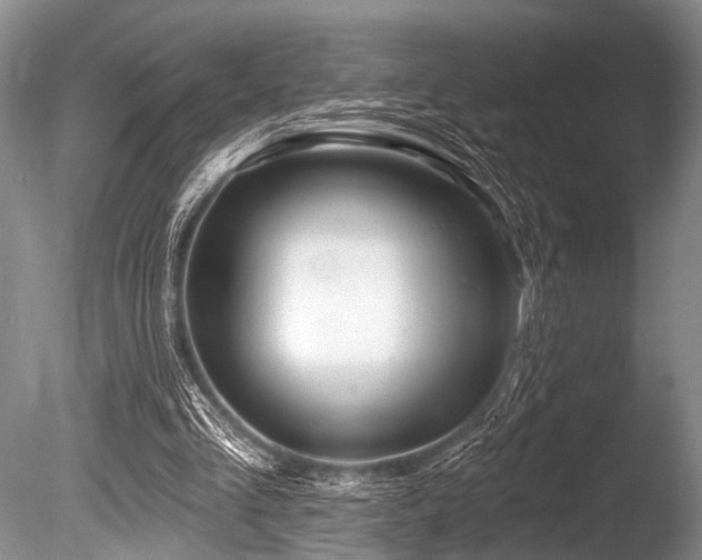 X0000086320293200703301225