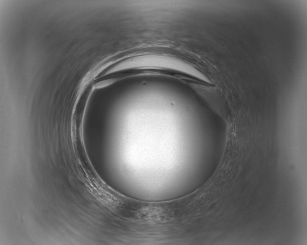 X0000086320294200703301225