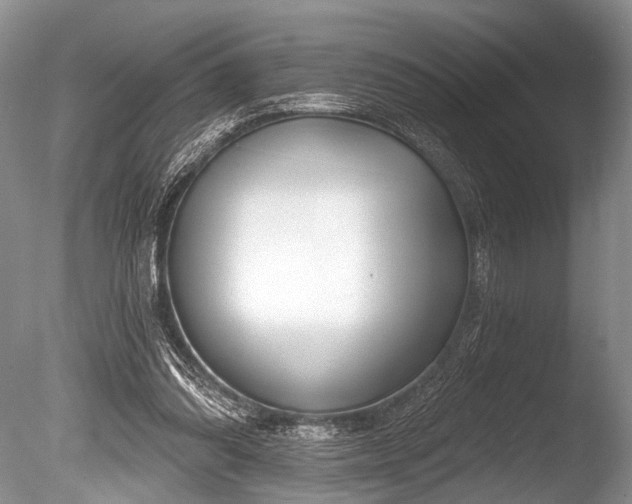 X0000086320302200703301225