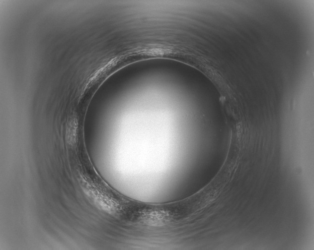 X0000086320304200703301225