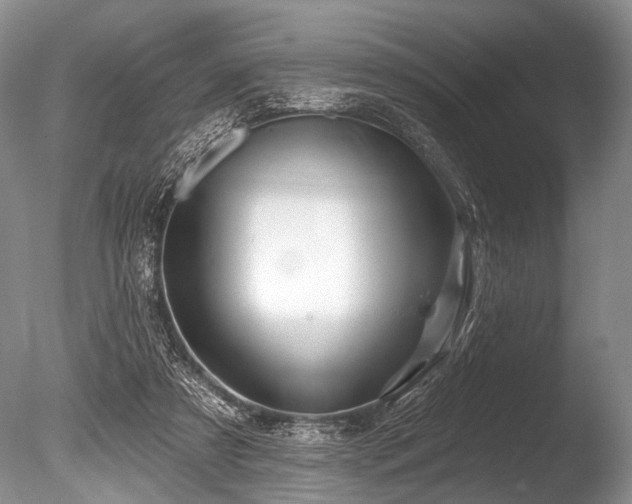 X0000086320305200703301225