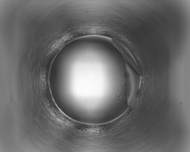 X0000086320306200703301225