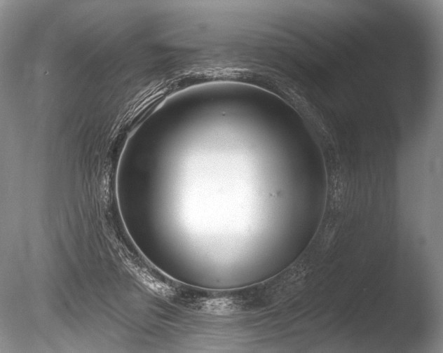 X0000086320309200703301225