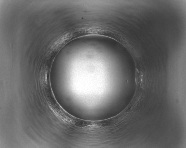 X0000086320310200703301225