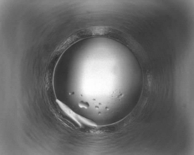 X0000086320311200703301225