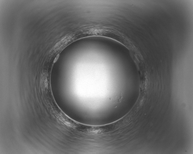 X0000086320313200703301225