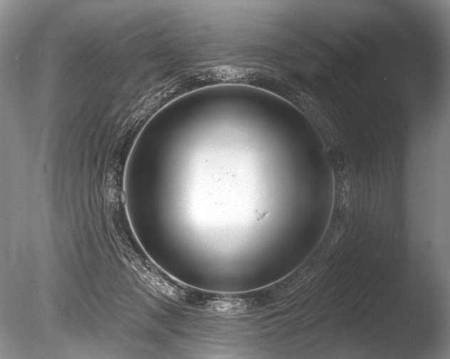 X0000086320317200703301225