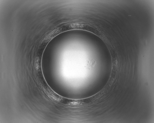 X0000086320323200703301225