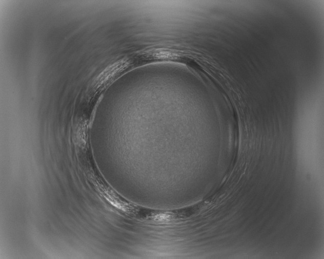 X0000086320325200703301224