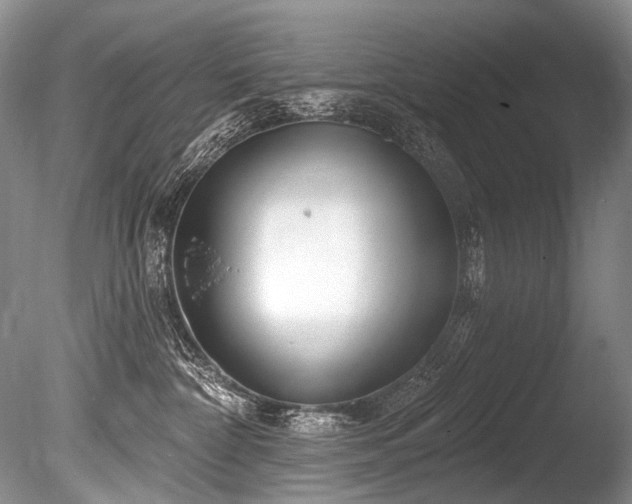 X0000086320332200703301224