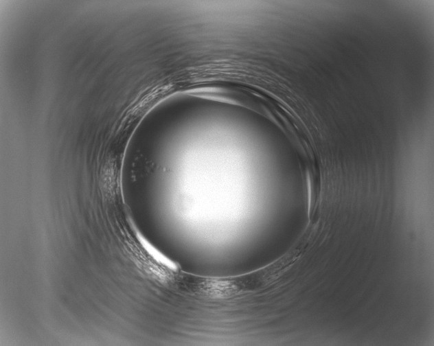 X0000086320333200703301224