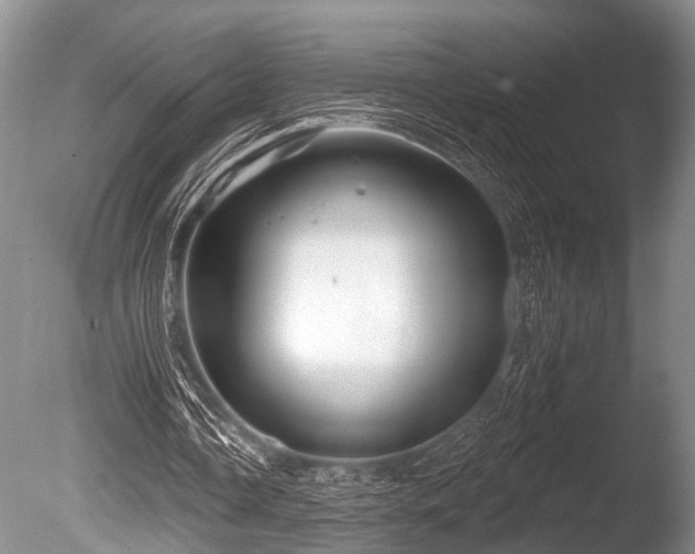 X0000086320338200703301223