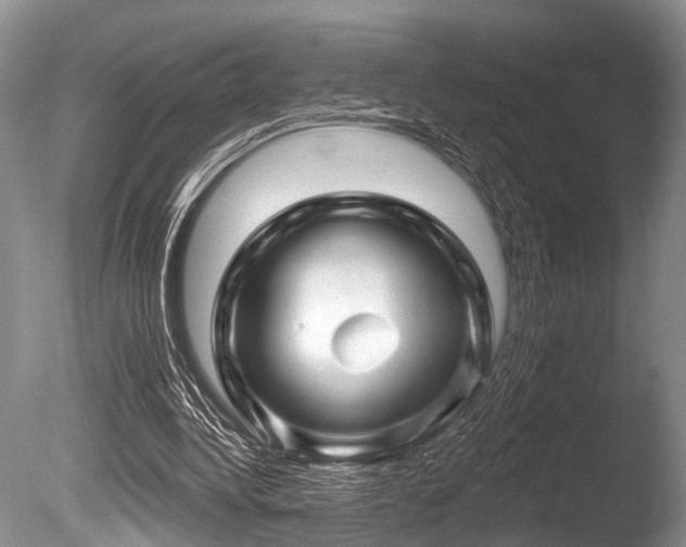 X0000086320340200703301224