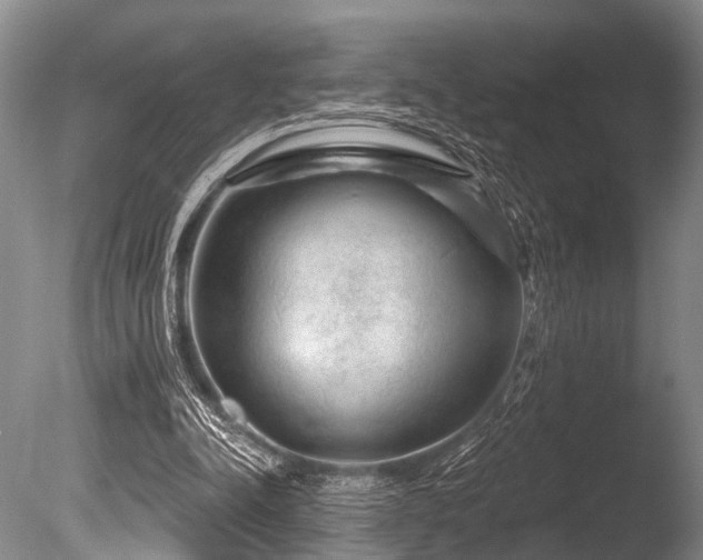 X0000086320342200703301224