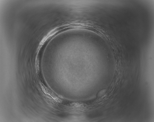 X0000086320343200703301224