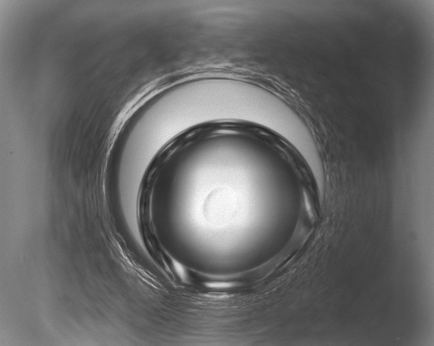 X0000086320344200703301224