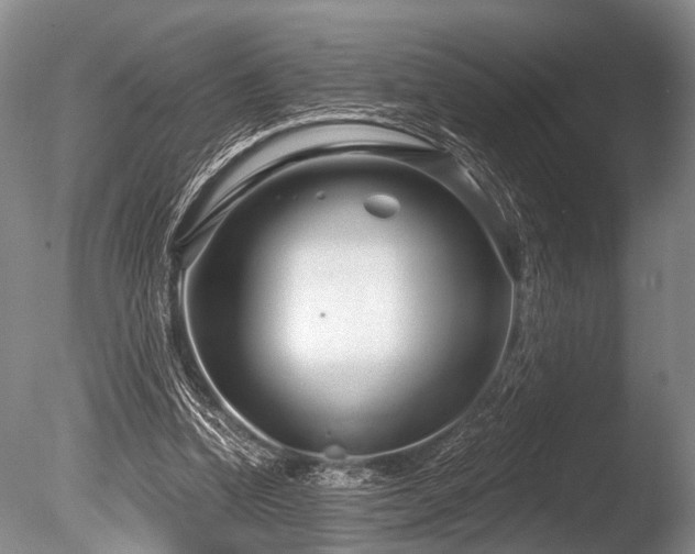 X0000086320346200703301224