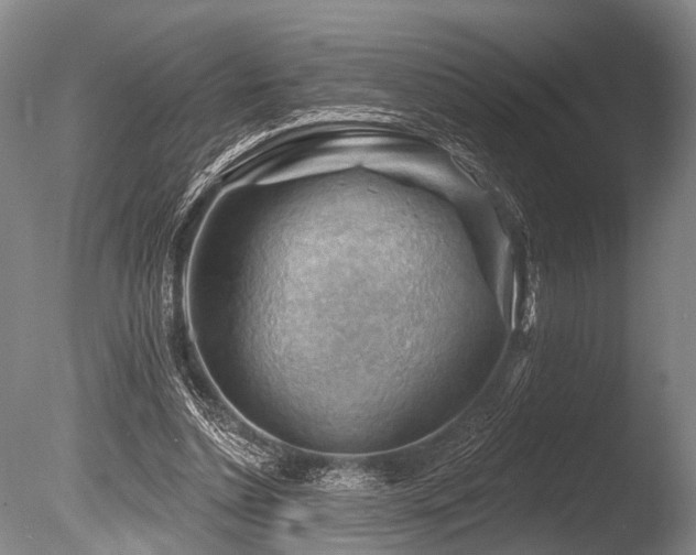 X0000086320348200703301224