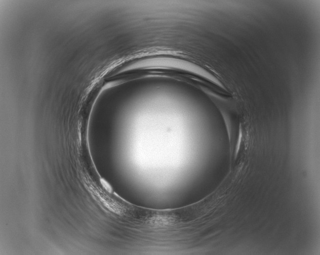 X0000086320350200703301224