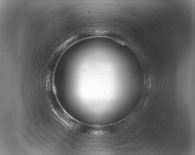 X0000086320360200703301224