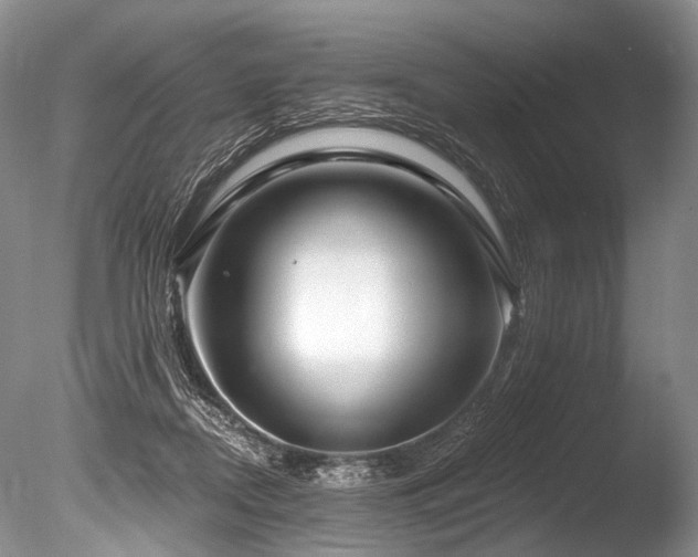 X0000086320362200703301224