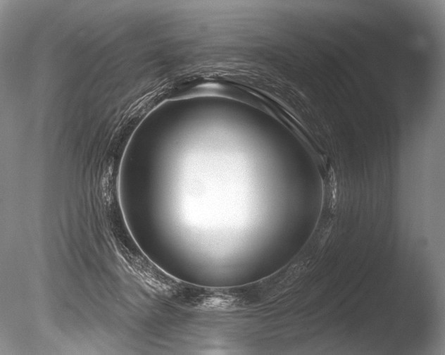 X0000086320364200703301224