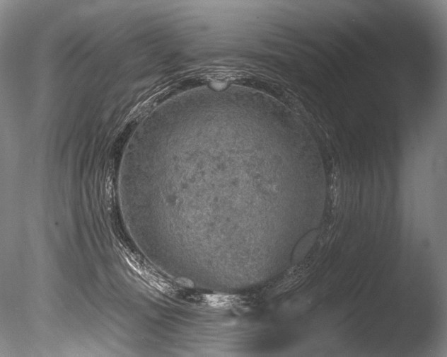 X0000086320371200703301224