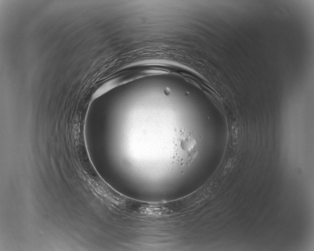 X0000086320372200703301224