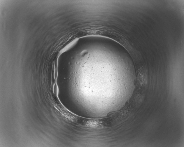 X0000086320375200703301224