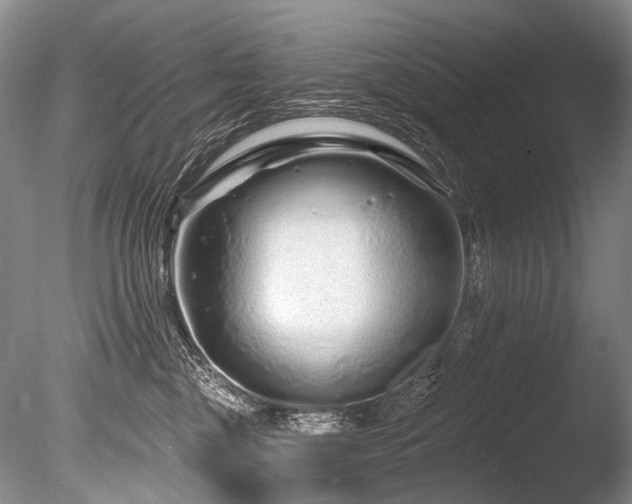 X0000086320377200703301224