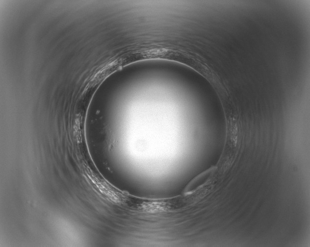 X0000086320378200703301224