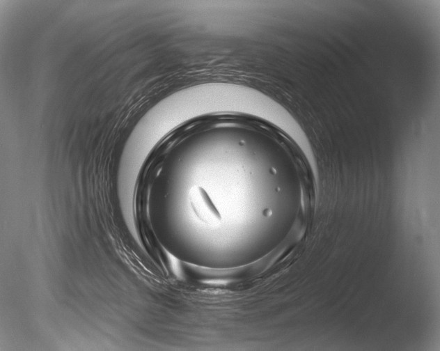 X0000086320380200703301224