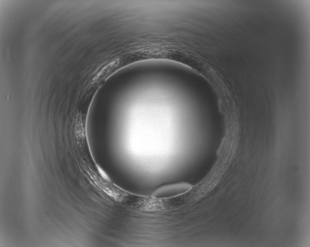X0000086320384200703301224