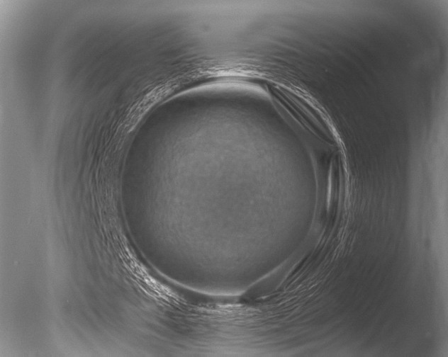 X0000086320385200703301223