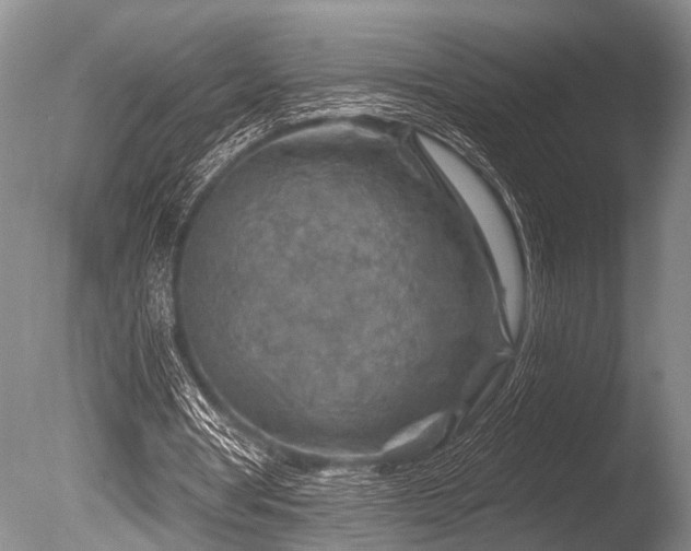 X0000086320386200703301223