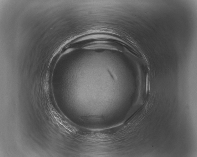 X0000086320387200703301223