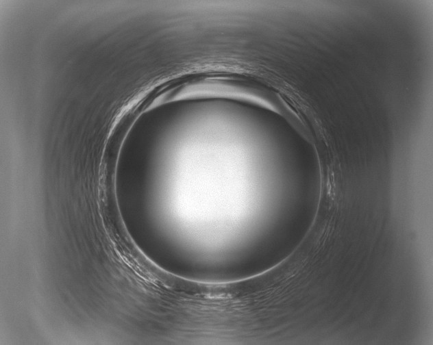 X0000086320388200703301223