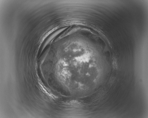 X0000086320390200703301223