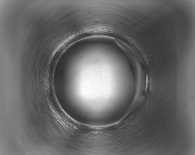 X0000086320392200703301223