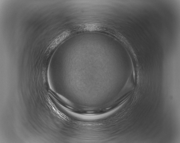 X0000086320393200703301223