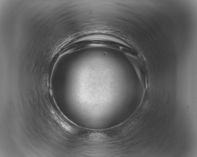 X0000086320397200703301223
