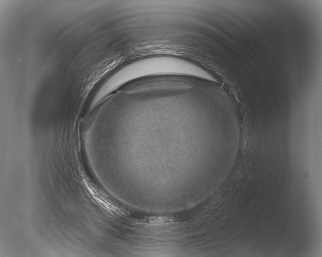 X0000086320398200703301223