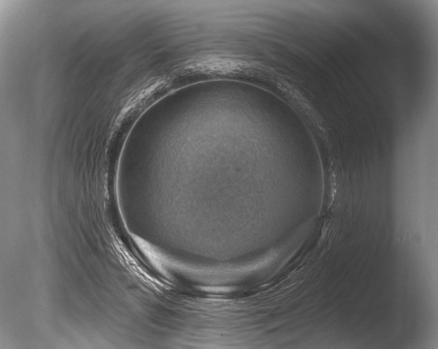 X0000086320399200703301223