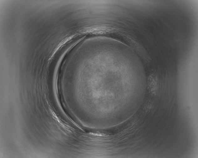 X0000086320400200703301223