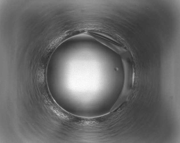 X0000086320401200703301223
