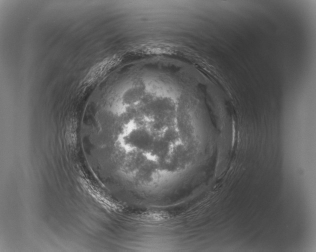 X0000086320402200703301223