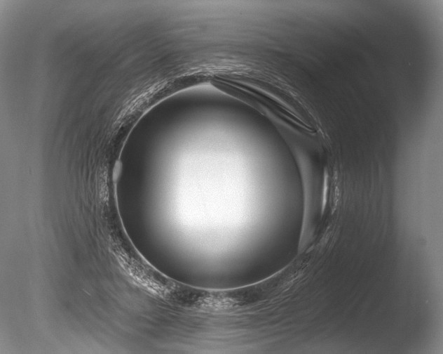 X0000086320403200703301223