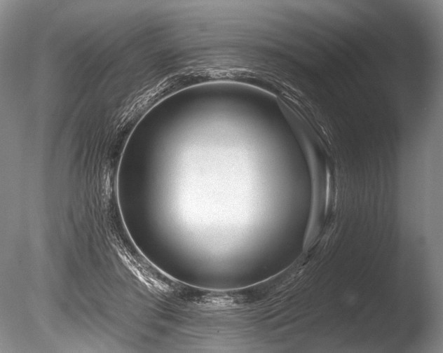 X0000086320405200703301223